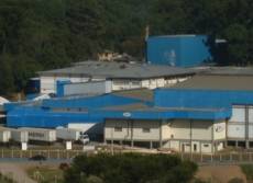 MPT-RS confirma mais 412 casos de coronavírus em frigorífico de Caxias do Sul