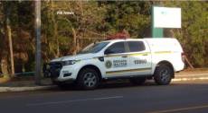 Cachorros Pitbull soltos no centro de Panambi termina em registro policial