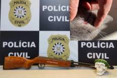  Polícia civil elucida crueldade de gatos, feridos com disparos de chumbinho em Imbé 