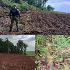 CONDOR | Brigada Militar flagra mais de 68 mil metros quadrados de destruição de vegetação nativa 