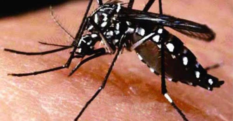 Confirmada segunda morte por chikungunya no RS e é em Carazinho