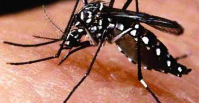 Confirmada segunda morte por chikungunya no RS e é em Carazinho