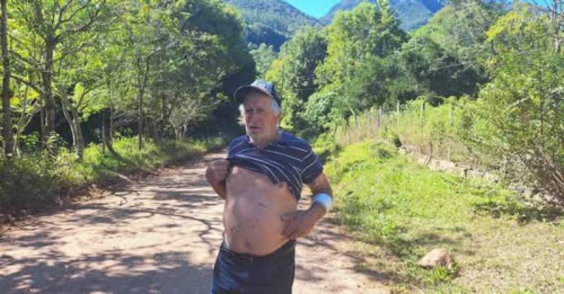 Agricultor relata ter sido atacado por puma no interior do RS