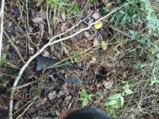 Policiais localizam armas furtadas em Condor