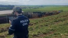 Polícia Civil recupera gado furtado e prende suspeito em operação no interior de Júlio de Castilhos
