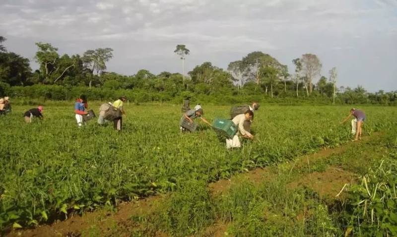 Produtores gaúchos afetados pela estiagem podem renegociar crédito rural