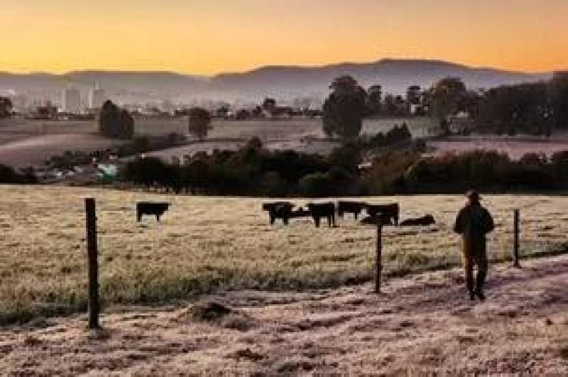Julho começa com temperaturas negativas e geada no RS