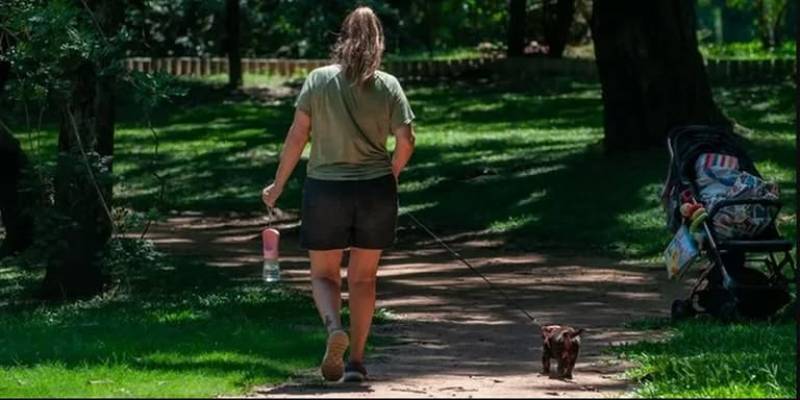 Semana começa com sol e temperatura amena no RS